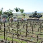 Temecula_0048 ()